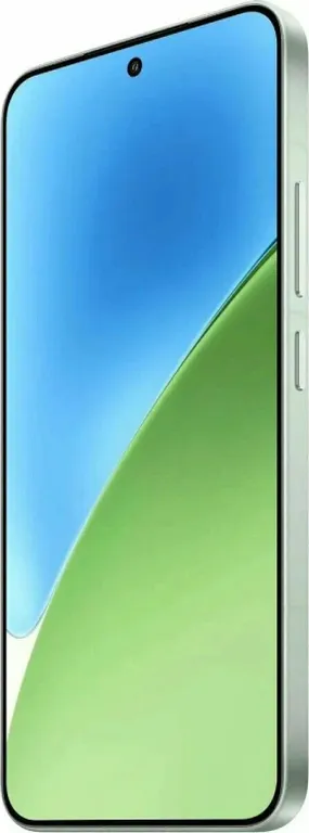 Смартфон Xiaomi 15 12/512GB RU, Зелёный