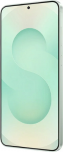 Смартфон Samsung Galaxy S25+ 12/512Gb (Цвет: Mint)